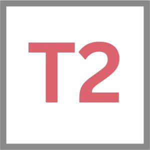 T2