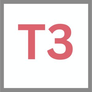 T3