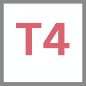 T4