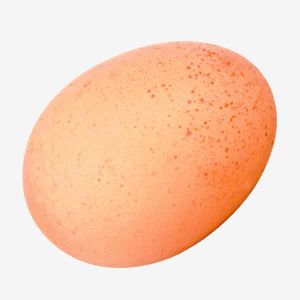 Egg