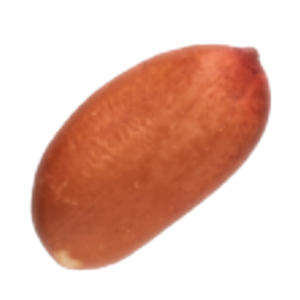 Peanut